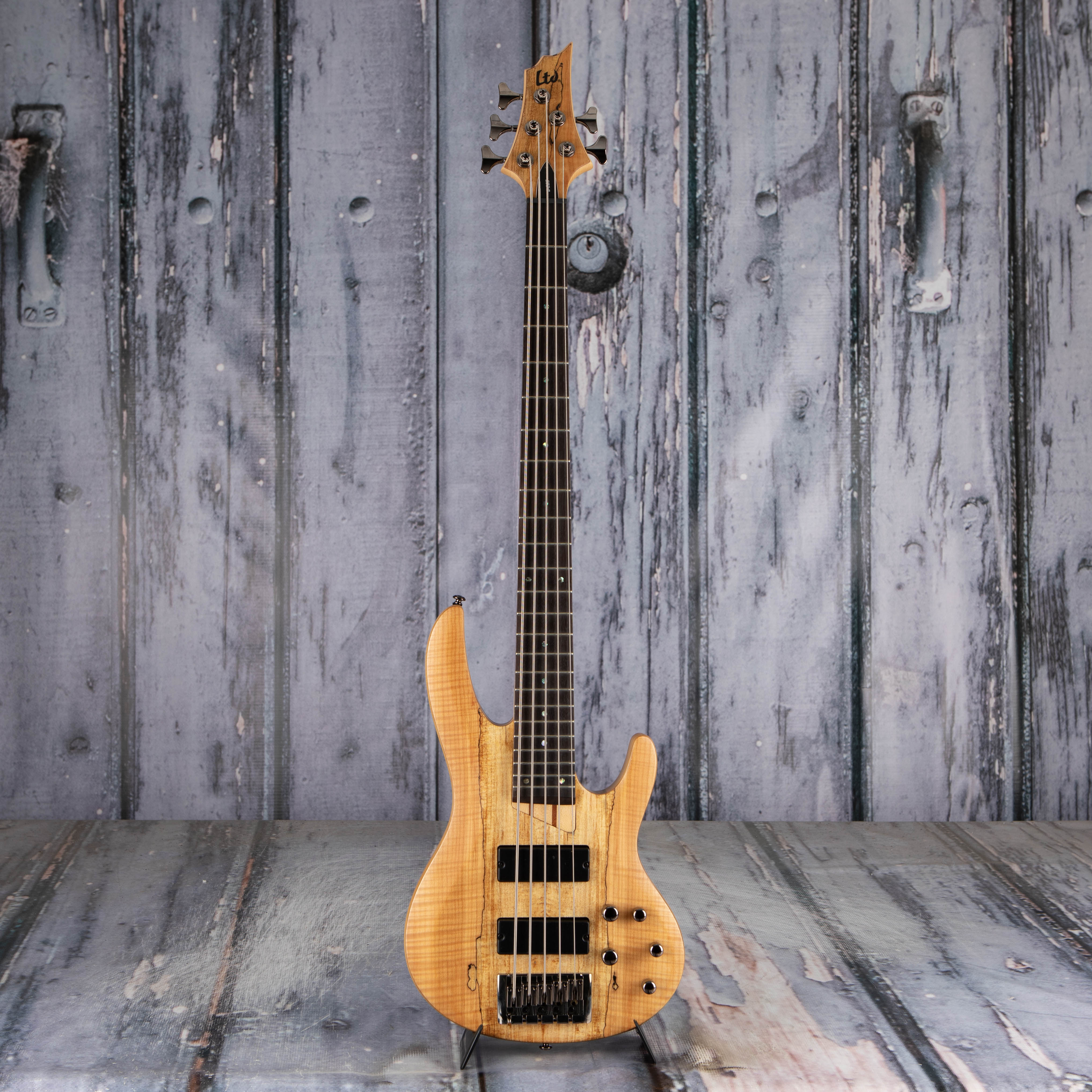 ESP LTD B-205SM Electric Bass Guitar, Natural Satin, front