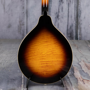 Gold Tone GM-50+ A-Style Acoustic/Electric Mandolin, Tobacco Sunburst, back closeup