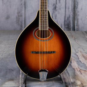 Gold Tone GM-50+ A-Style Acoustic/Electric Mandolin, Tobacco Sunburst, front closeup