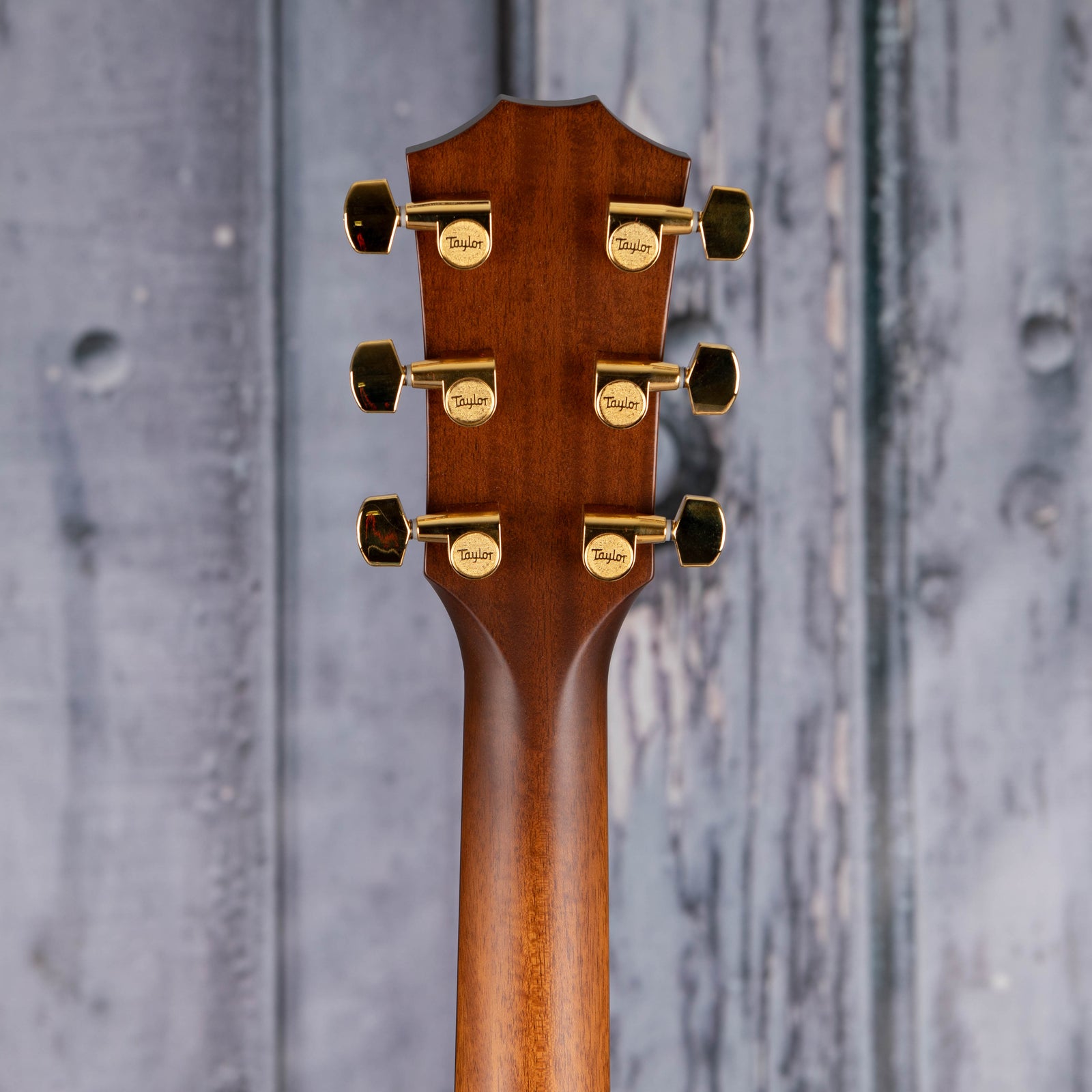 Taylor 50th Anniversary 314ce LTD Acoustic/Electric, Shaded 