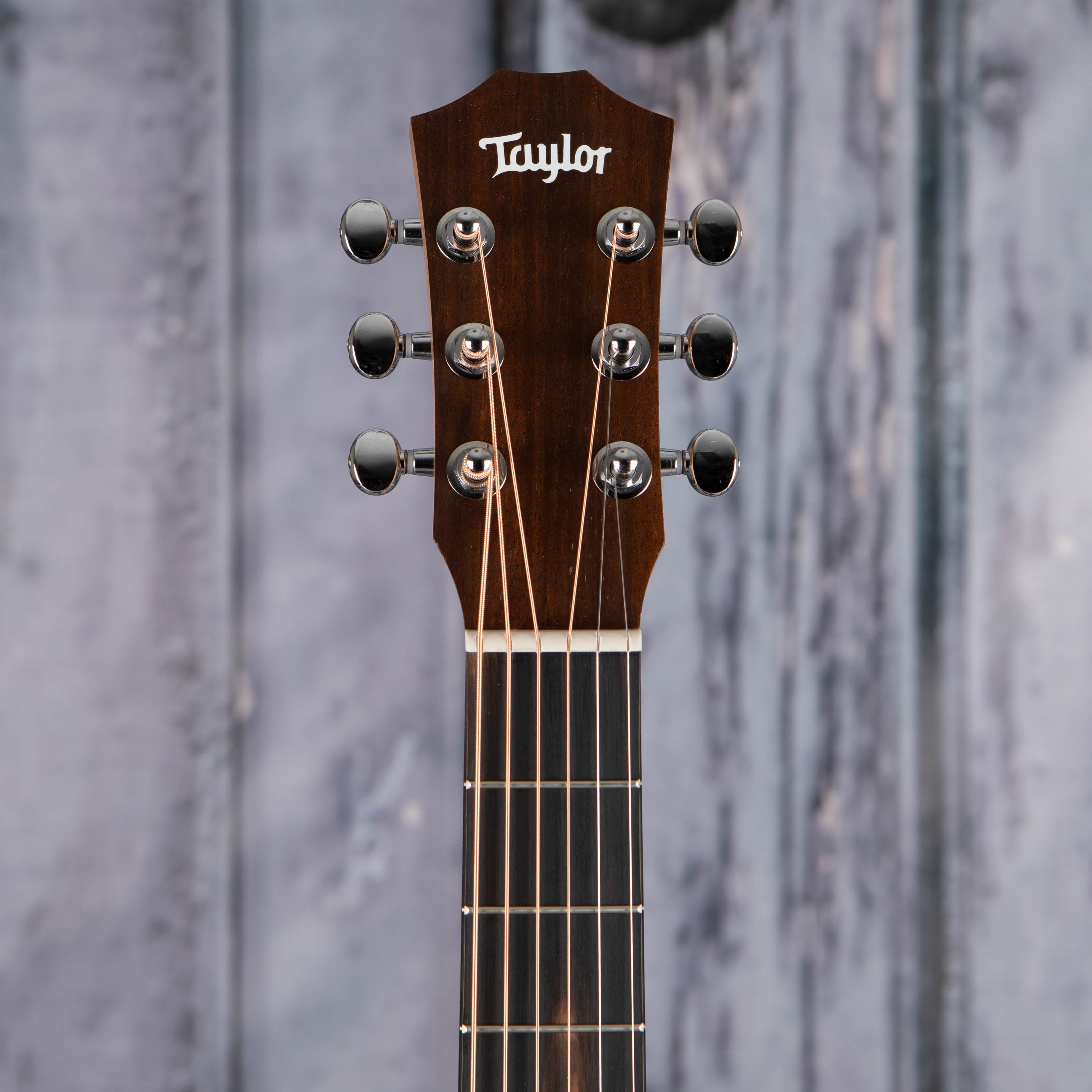 Taylor BT1e Baby Taylor Acoustic/Electric Guitar, Natural, front headstock