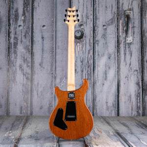 Used Paul Reed Smith CE 24 Semi-Hollowbody Guitar, Eriza Verde, back