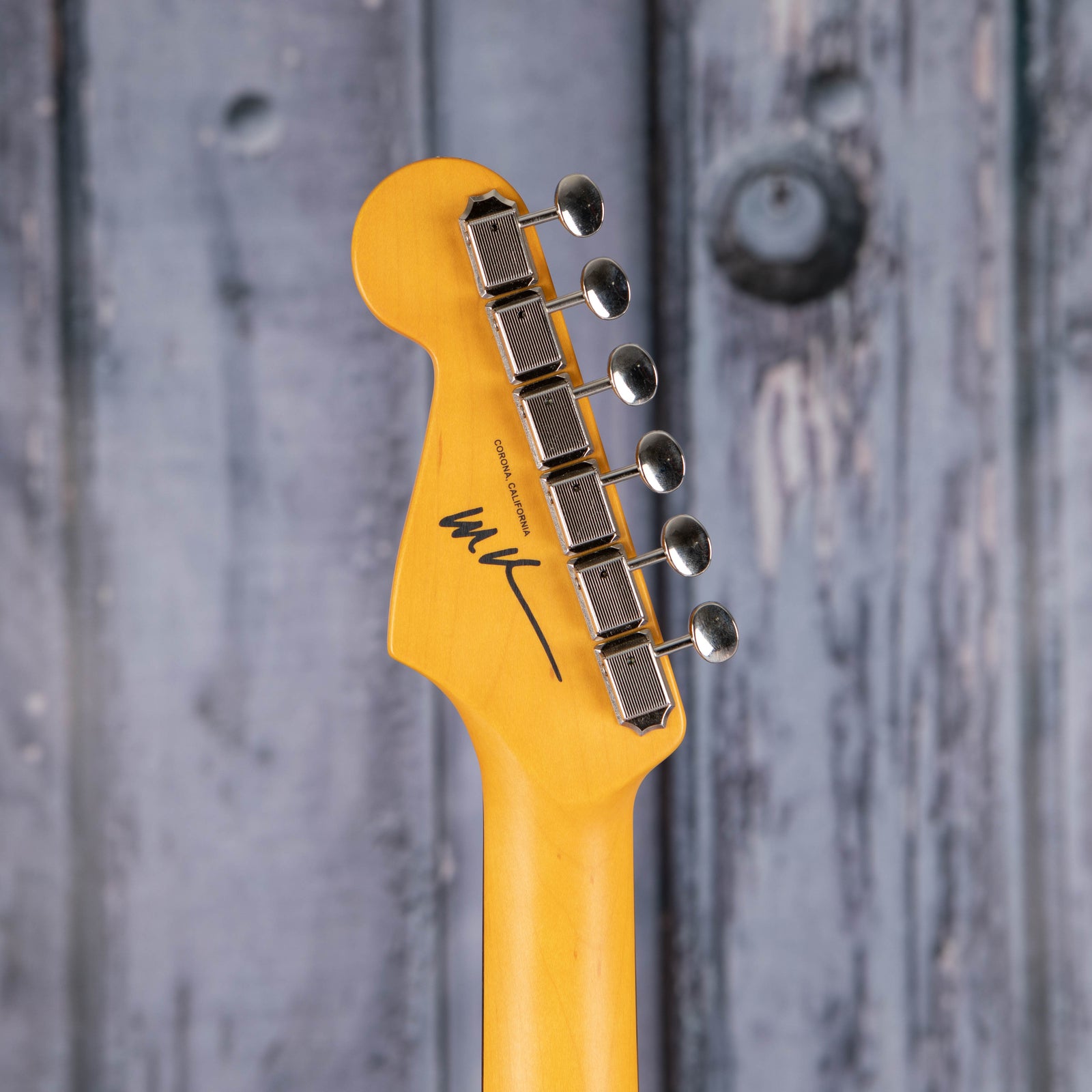 Fender Stories Collection Michael Landau Coma Stratocaster, Coma