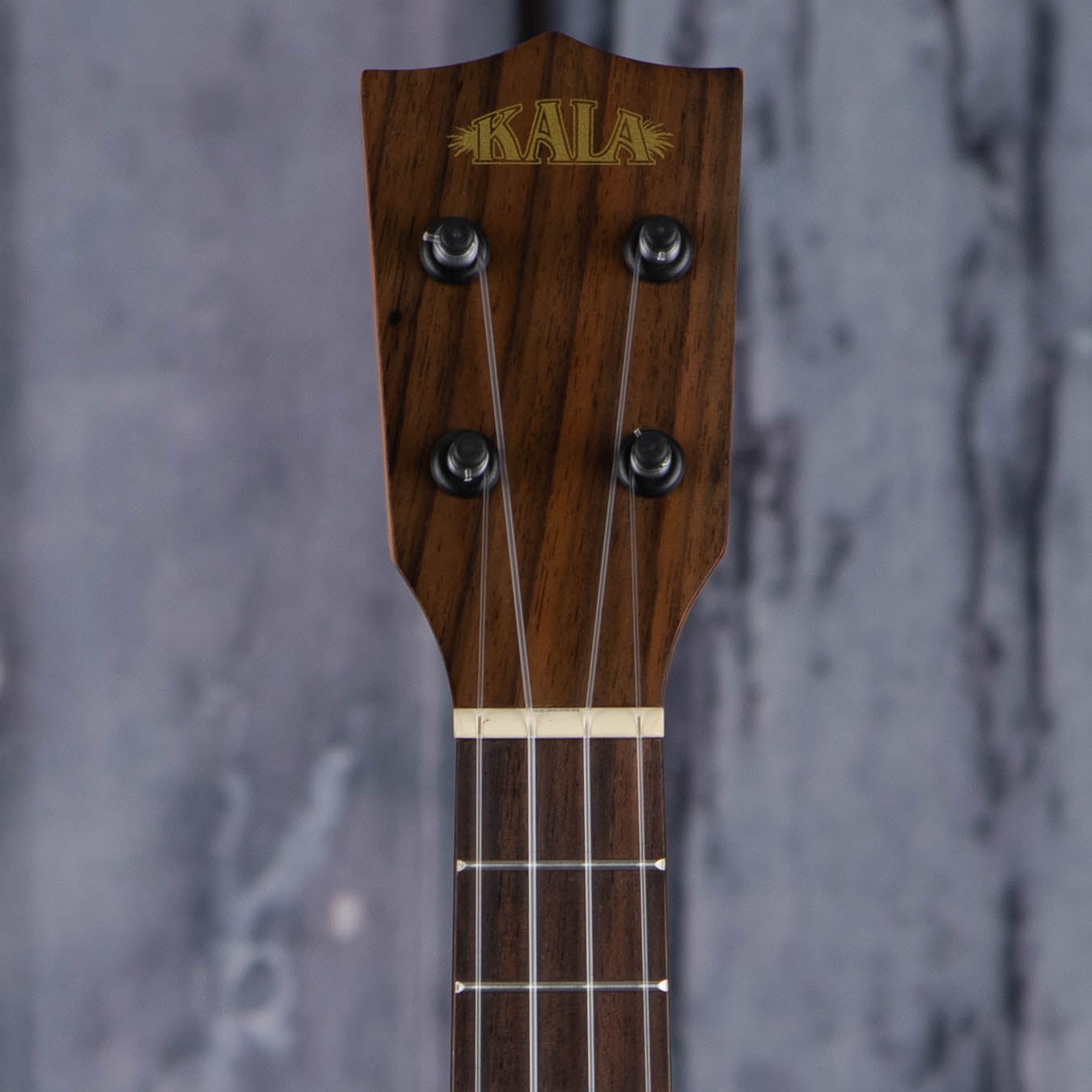 Kala Premier Exotic Macawood Concert Ukulele, Natural, front headstock